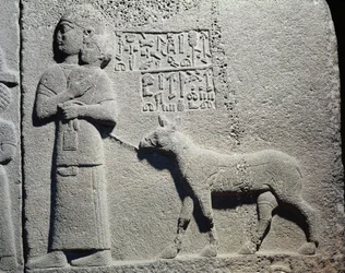 Reine ou nourrice portant Tuwarsais, le plus jeune fils du roi Araras, Carchemish, néo-hittite